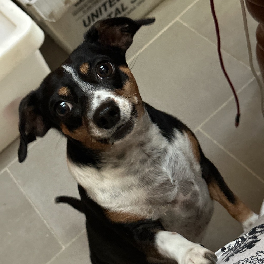 Meet your Posher, Kendra